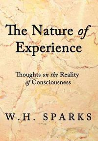 Cover image for The Nature of Experience: Thoughts on the Reality of Consciousness