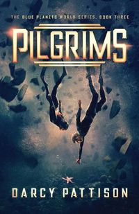 Cover image for Pilgrims