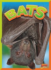 Cover image for Bats