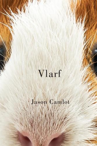 Cover image for Vlarf