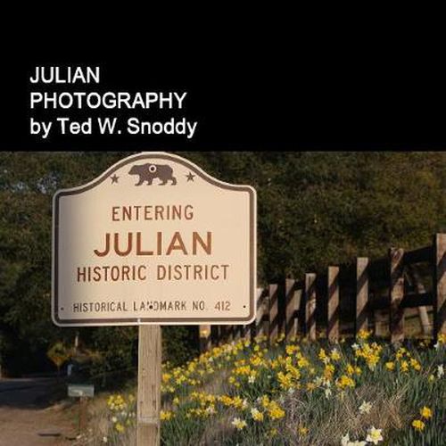 Cover image for JULIAN PHOTOGRAPHY
