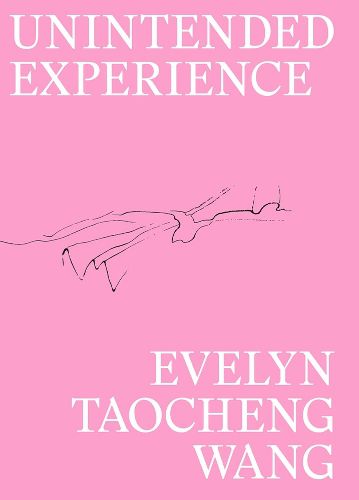 Cover image for Evelyn Taocheng Wang: Unintended Experience: A Job in Amsterdam