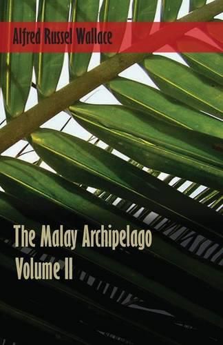 Cover image for The Malay Archipelago, Volume 2.