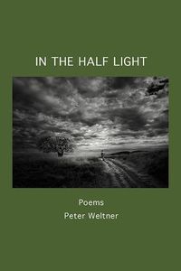 Cover image for In the Half Light