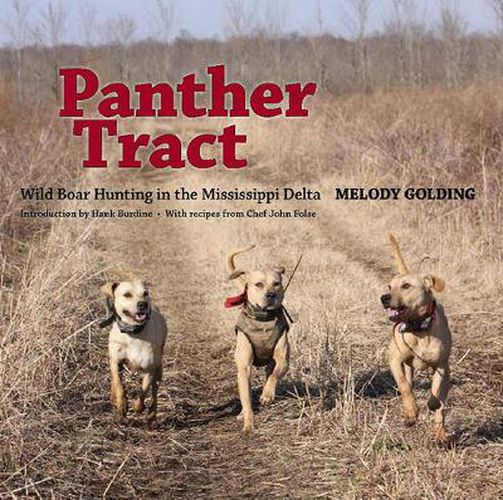 Cover image for Panther Tract: Wild Boar Hunting in the Mississippi Delta