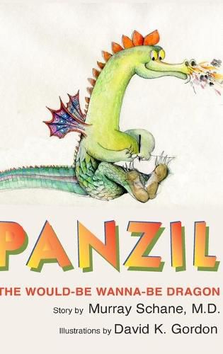 Cover image for Panzil