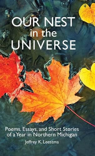 Cover image for Our Nest in the Universe