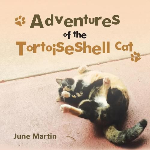 Cover image for Adventures of the Tortoiseshell Cat