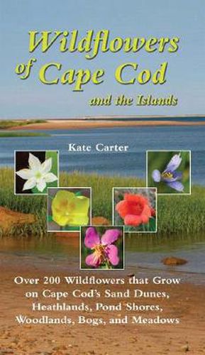 Cover image for Wildflowers of Cape Cod and the Islands: 206 Wildflowers That Grow on Cape Cod's Sand Dunes, Heathlands, Pond, Woodlands, Bogs and Meadows