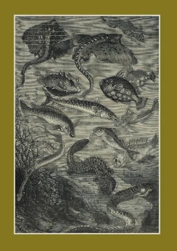 Cover image for Carnet Ligne Vingt Mille Lieues Sous Les Mers, Jules Verne, 1871: Le Fleuve Noir