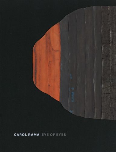 Cover image for Carol Rama: Eye of Eyes