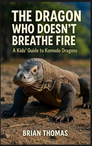 Cover image for The Dragon Who Doesn't Breathe Fire