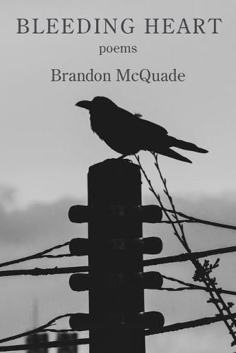 Cover image for Bleeding Heart