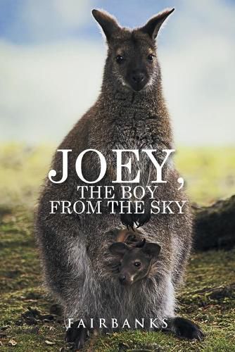 Cover image for Joey, the Boy from the Sky