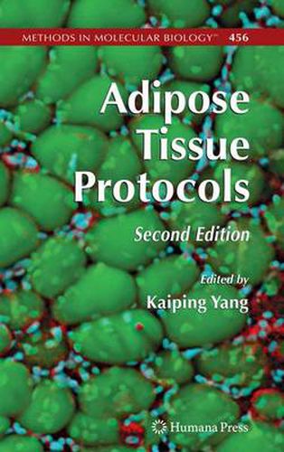 Cover image for Adipose Tissue Protocols