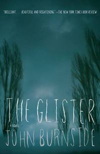 Cover image for The Glister