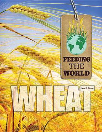 Cover image for Wheat