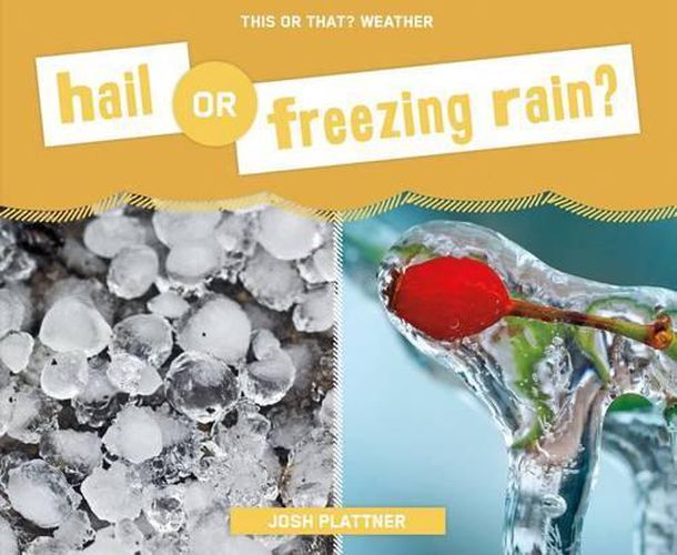 Cover image for Hail or Freezing Rain?