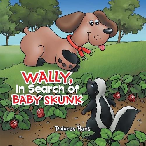 Cover image for Wally, In Search of Baby Skunk