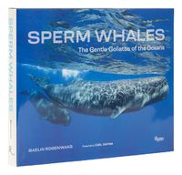 Cover image for Sperm Whales: The Gentle Goliaths of the Ocean