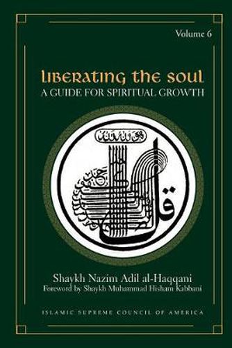 Cover image for Liberating the Soul: A Guide for Spiritual Growth, Volume Six