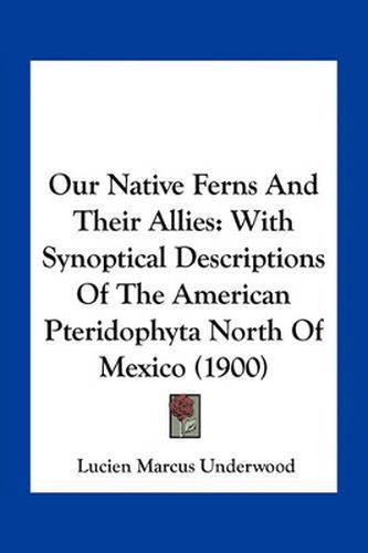 Our Native Ferns and Their Allies: With Synoptical Descriptions of the American Pteridophyta North of Mexico (1900)