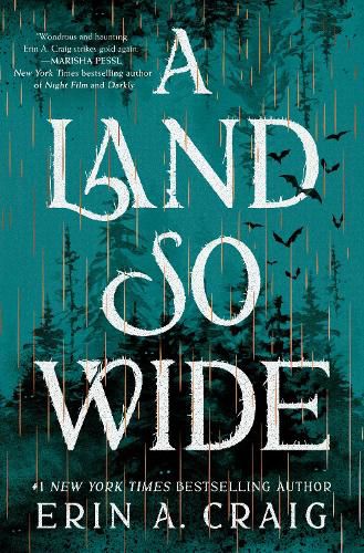 Cover image for A Land So Wide