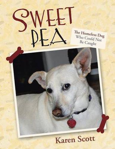 Cover image for Sweet Pea: The Homeless Dog Who Could Not Be Caught