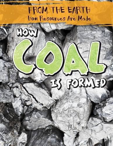 How Coal Is Formed