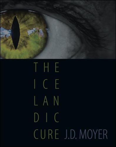 Cover image for The Icelandic Cure