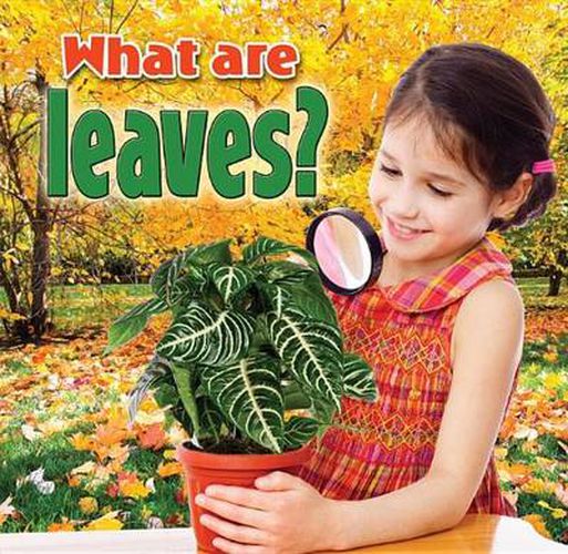 Cover image for What Are Leaves