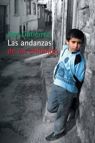 Cover image for Las Andanzas de Un Chilango