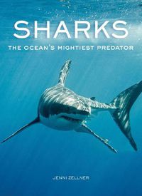 Cover image for Sharks: The Ocean's Mightiest Predator