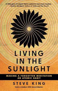 Cover image for Living in the Sunlight