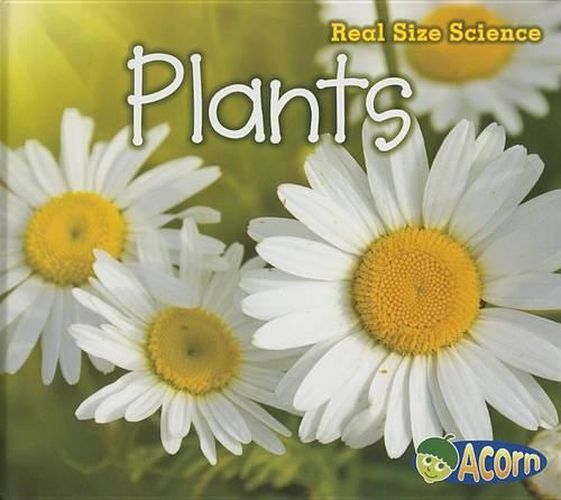 Cover image for Plants