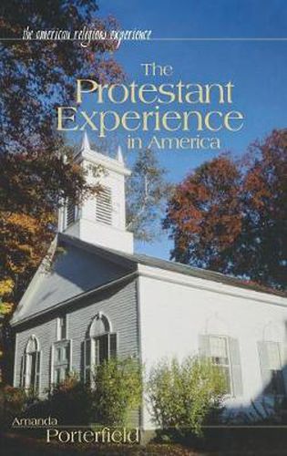 Cover image for The Protestant Experience in America