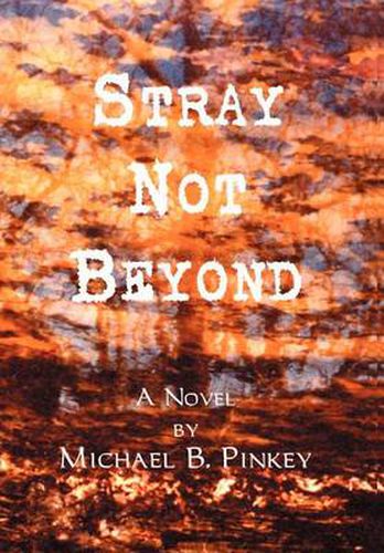 Cover image for Stray Not Beyond