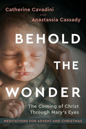 Cover image for Behold the Wonder