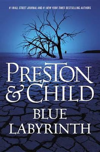 Cover image for Blue Labyrinth