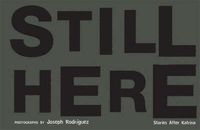 Cover image for Still Here: Stories After Katrina