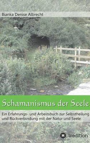 Cover image for Schamanismus der Seele: Ein Erfahrungs- und Arbeitsbuch zur Selbstheilung und Ruckverbindung mit der Natur und Seele