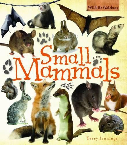 Cover image for Small Mammals
