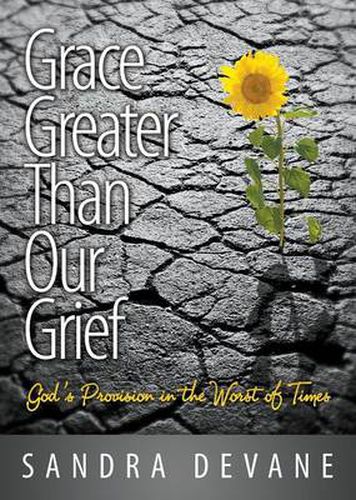 Cover image for Grace Greater Than Our Grief: God's Provision in the Worst of Times