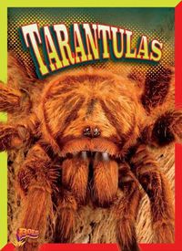 Cover image for Tarantulas