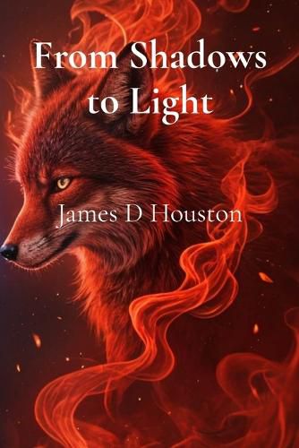 Cover image for From Shadows to Light