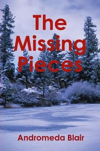 Cover image for The Missing Pieces