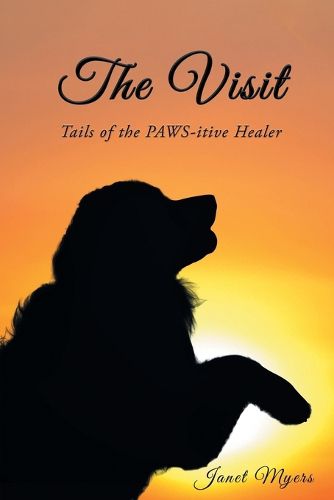 Cover image for The Visit