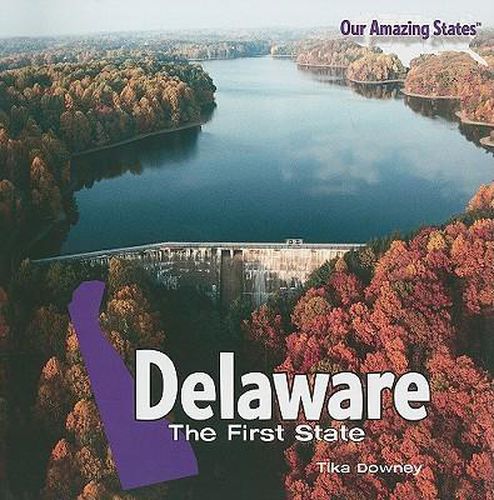 Cover image for Delaware