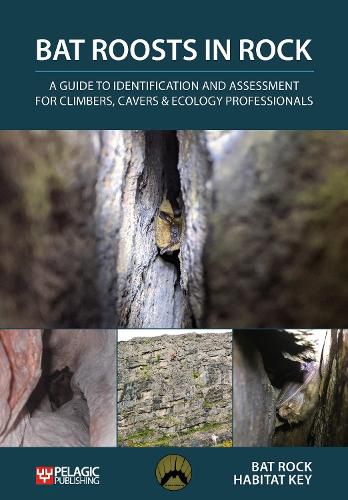 Cover image for Bat Roosts in Rock: A Guide to Identification and Assessment for Climbers, Cavers & Ecology Professionals