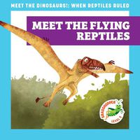 Cover image for Meet the Flying Reptiles